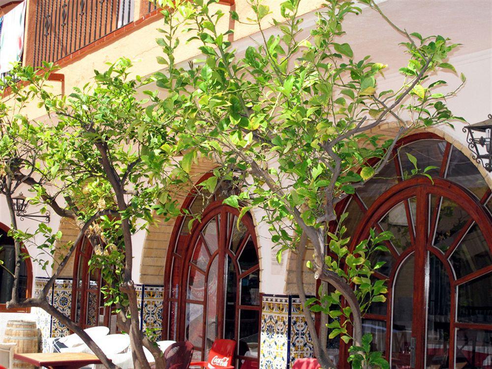 Hotel Comarruga Platja Εξωτερικό φωτογραφία